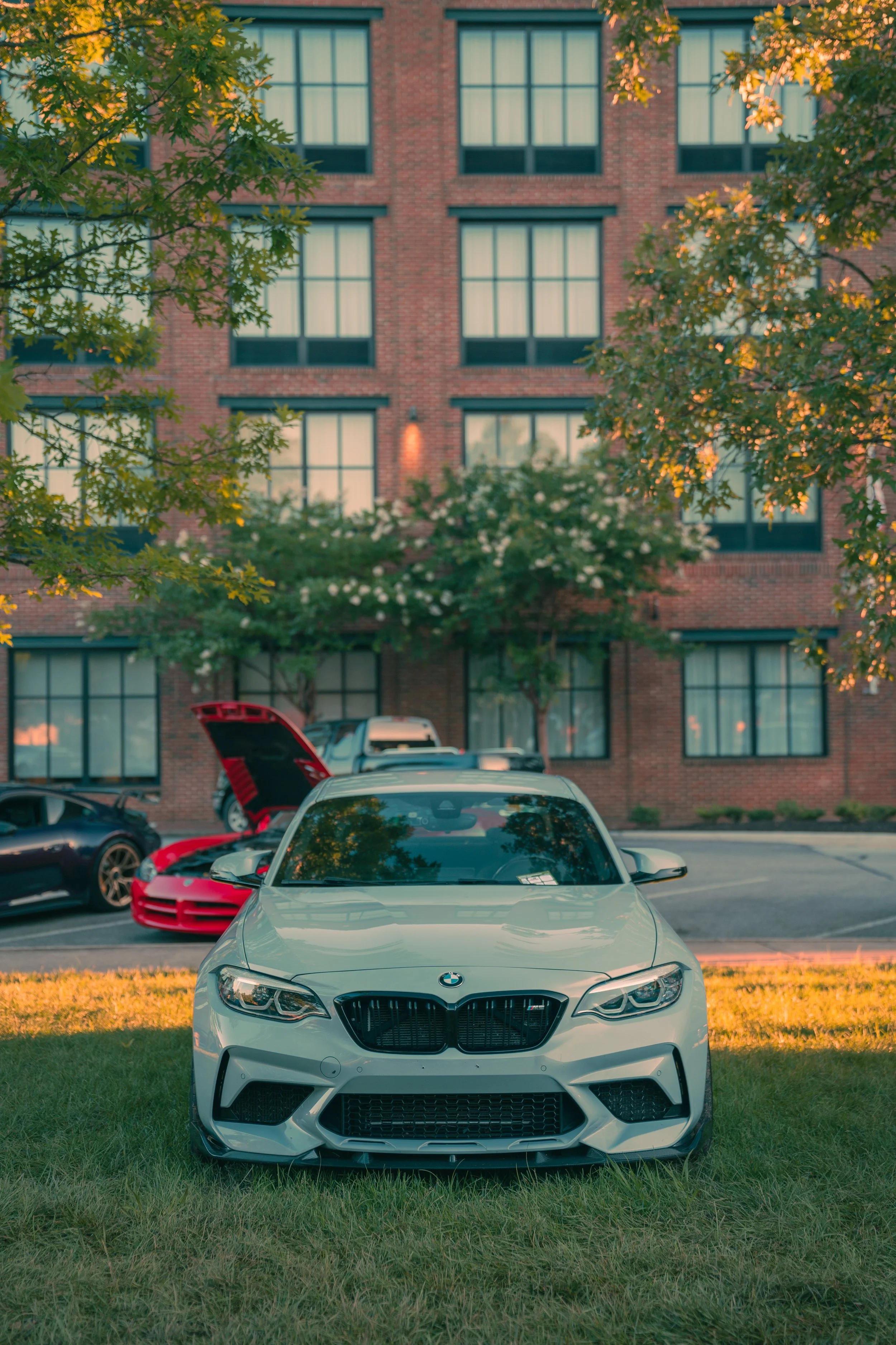 Front view of a white BMW parked on grass in a parking lot, with other vehicles and a brick building with large windows in the background, and trees with green leaves framing the scene.