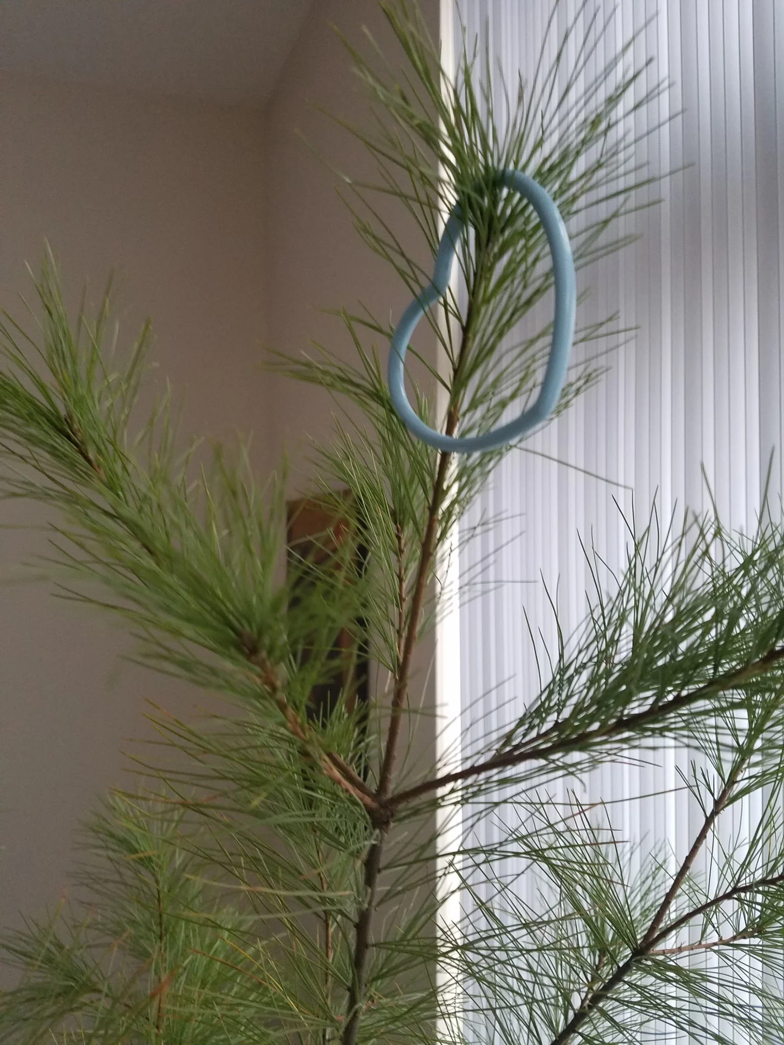 20161204_160843.jpg