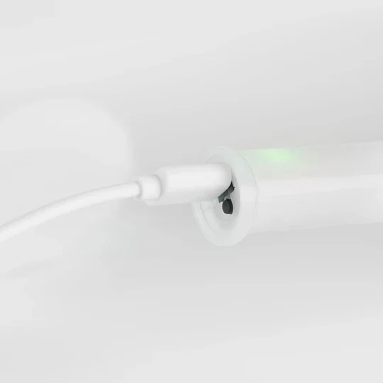 dragon staff features 2.webp