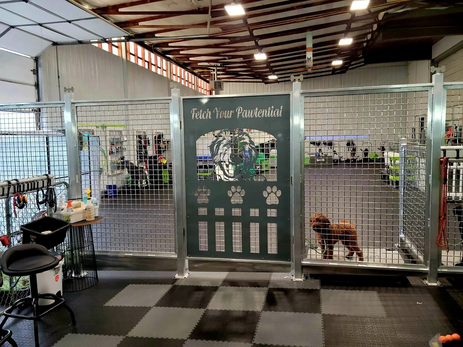 Custom-fabricated metal dog kennel enclosure system for professional pet boarding facilities.