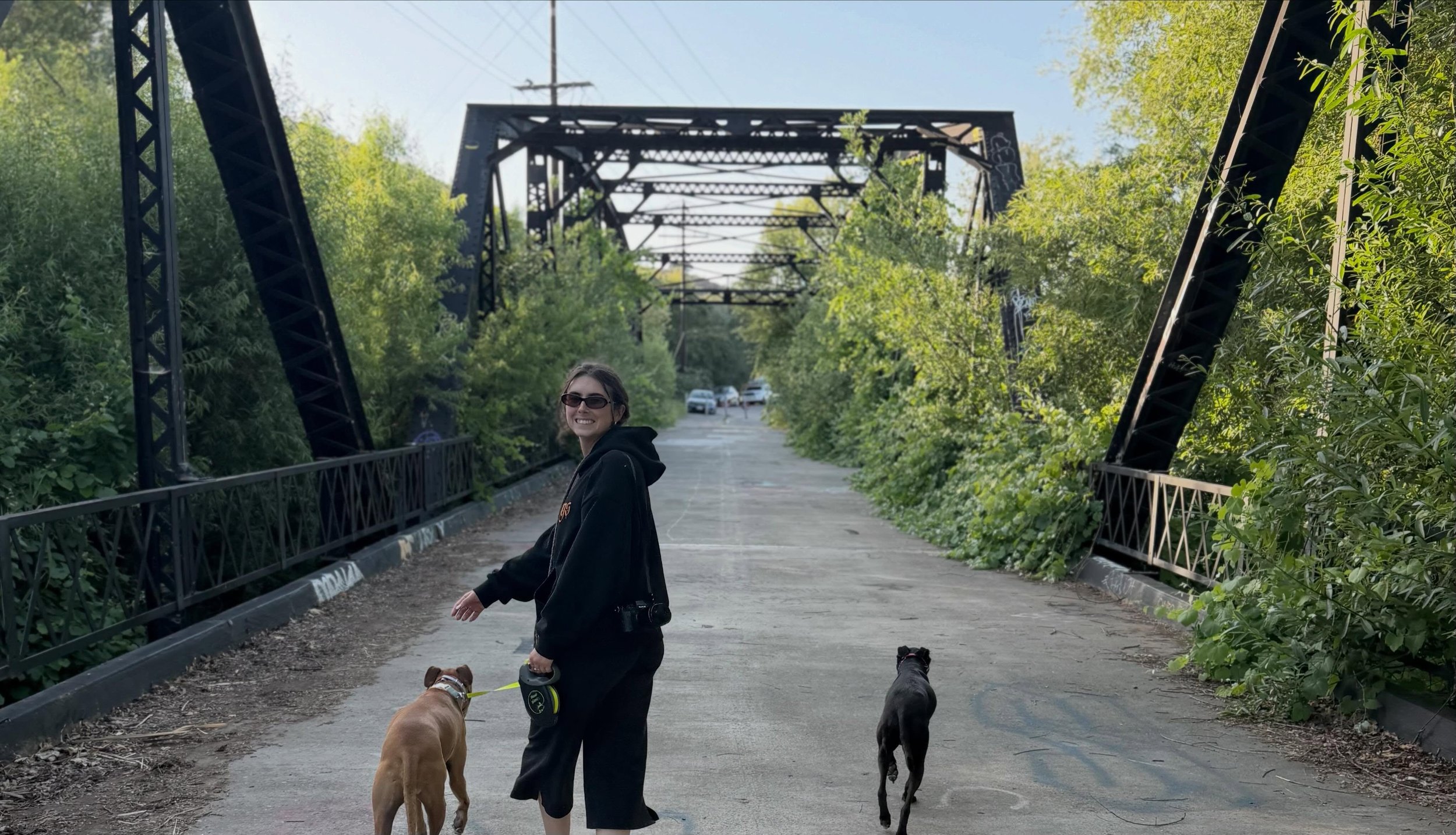 For the entirety of my dog training career, I struggled to find the balance between running a business, training dogs, and showing up online. Social media gave me anxiety and I never had time for it.

It wasn&rsquo;t until I burnt out and slowed way 