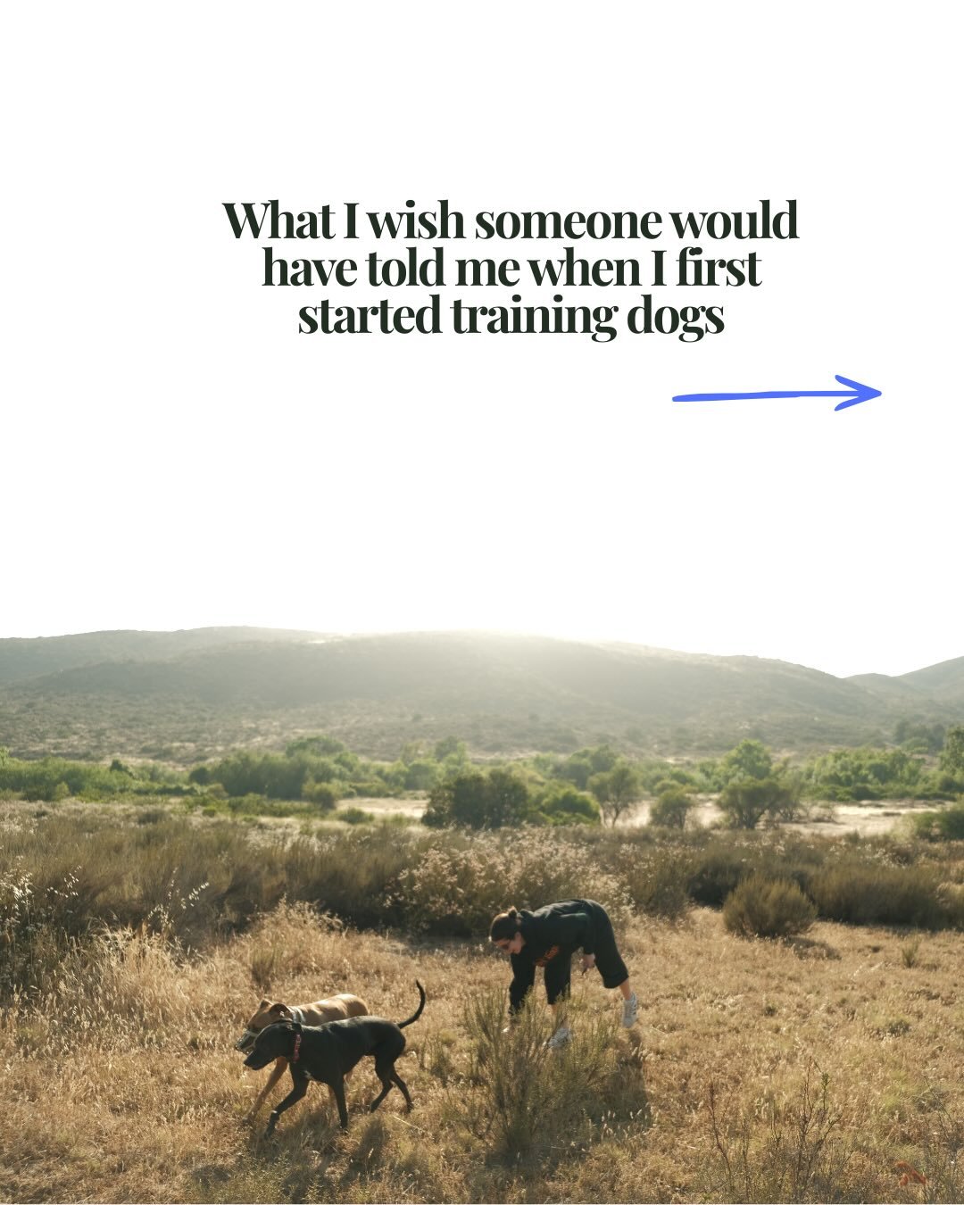 When I first started training, I learned one way of doing things. It worked for some situations, but it also meant micromanaging my dogs&rsquo; behavior instead of actually teaching them.

Over time, I realized that approach wasn&rsquo;t giving me th