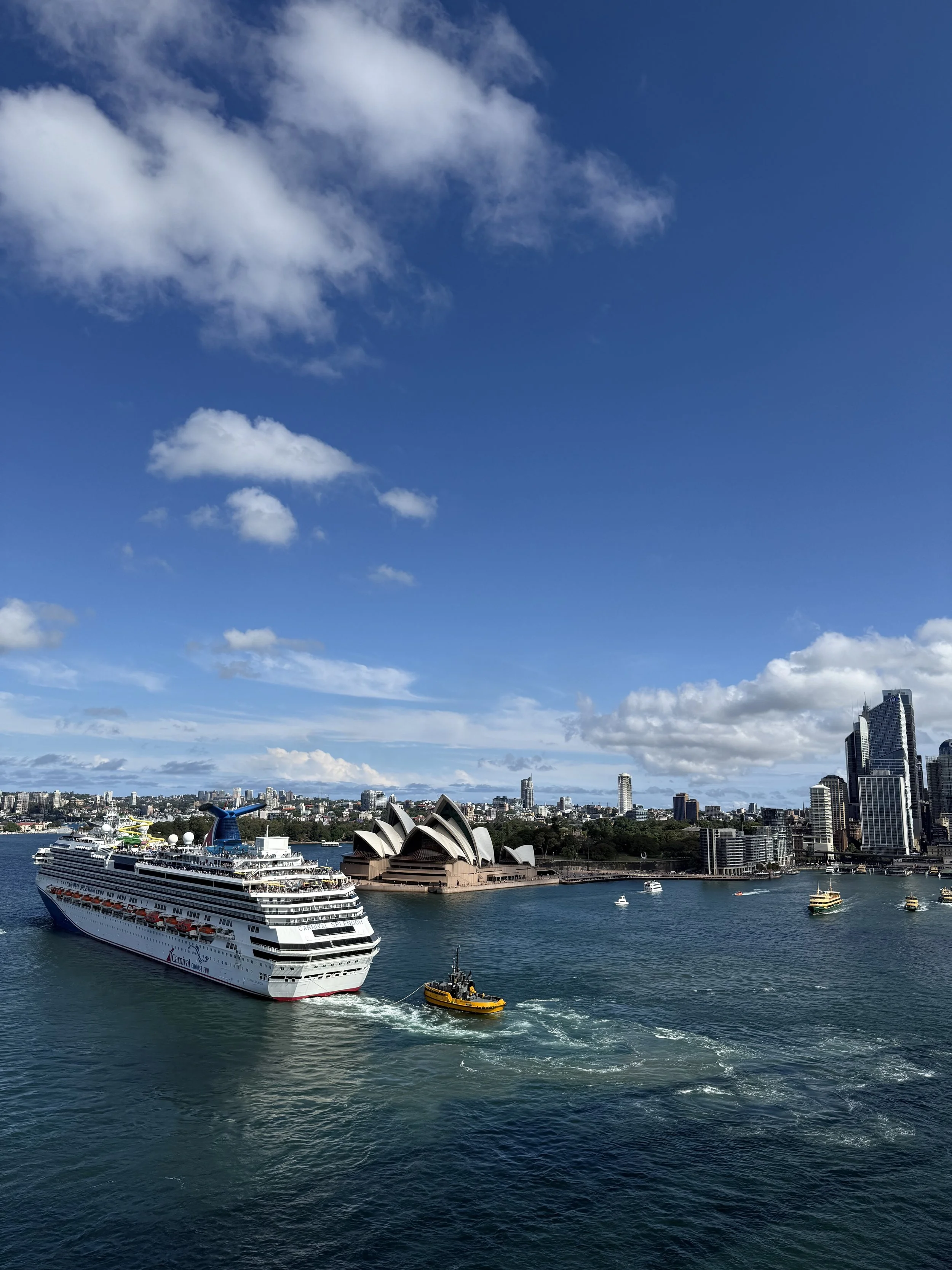 Working Holiday Visa    type 462