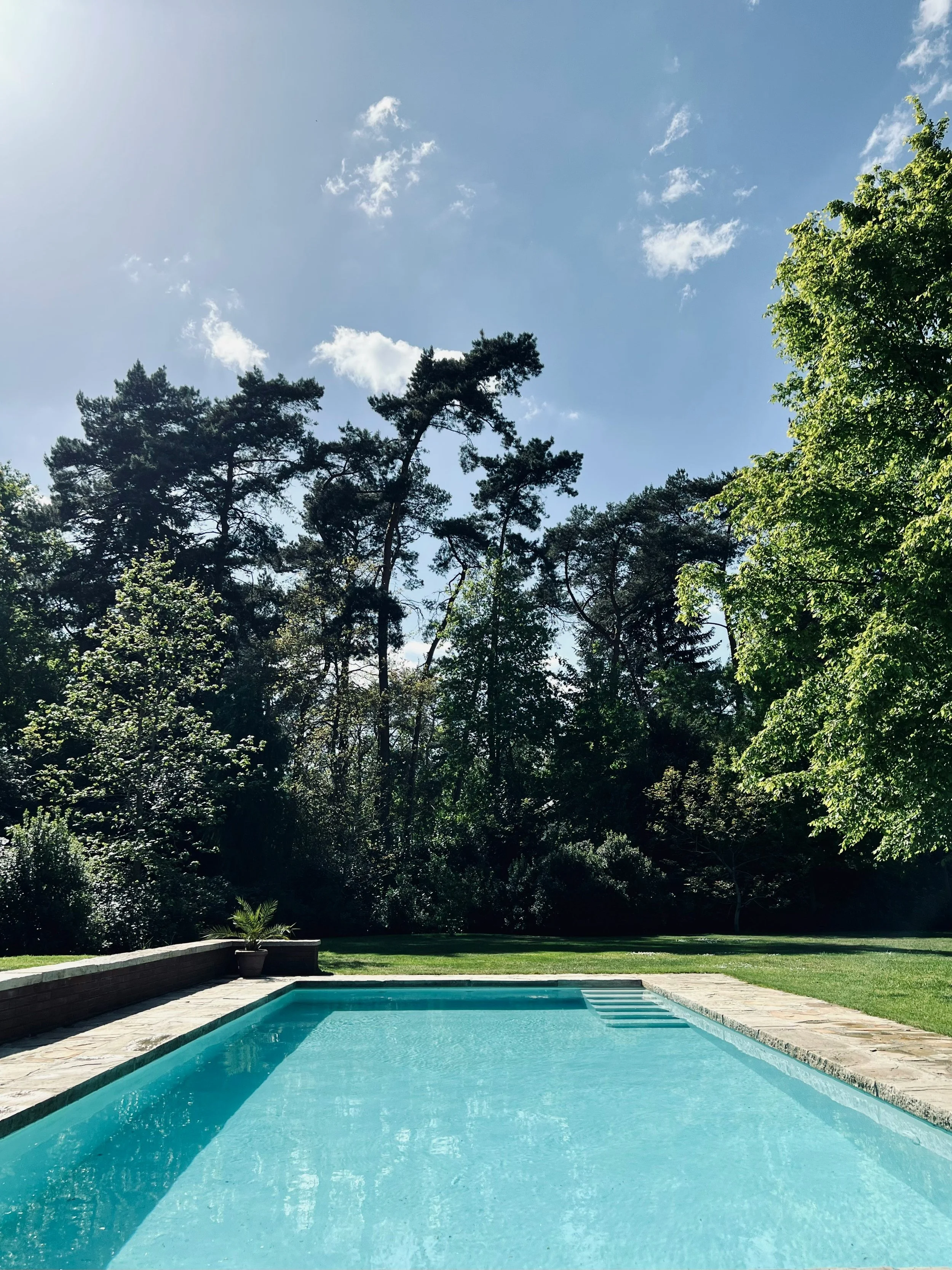 A backyard with a swimming pool, surrounded by grass and trees, under a blue sky with scattered clouds.