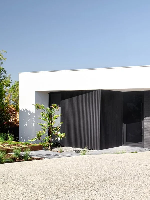 Modern house with white and black exterior, small landscaped garden, and a young tree in front.