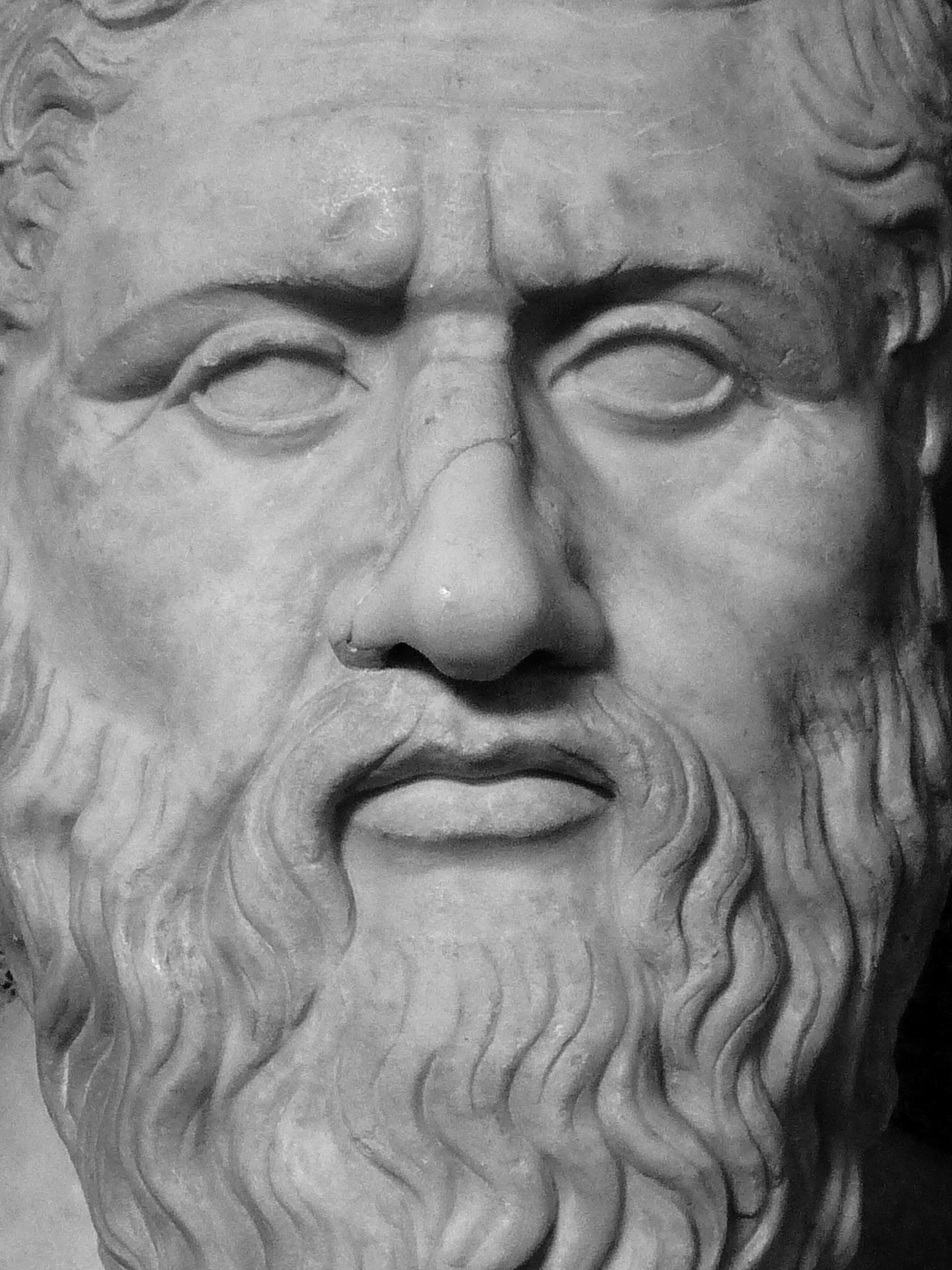 Romans_0006_Bust_of_Plato,_Vatican_Museum,_Rome copy.jpg