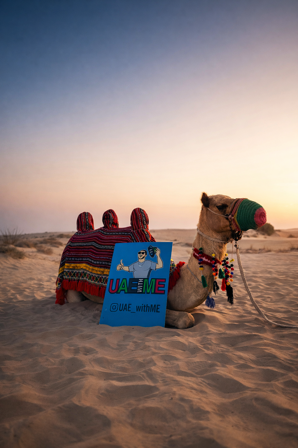 Camel Ride