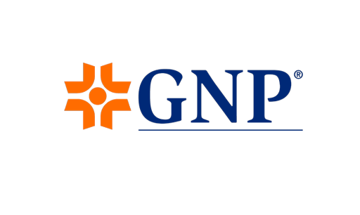 GNP