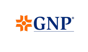 GNP