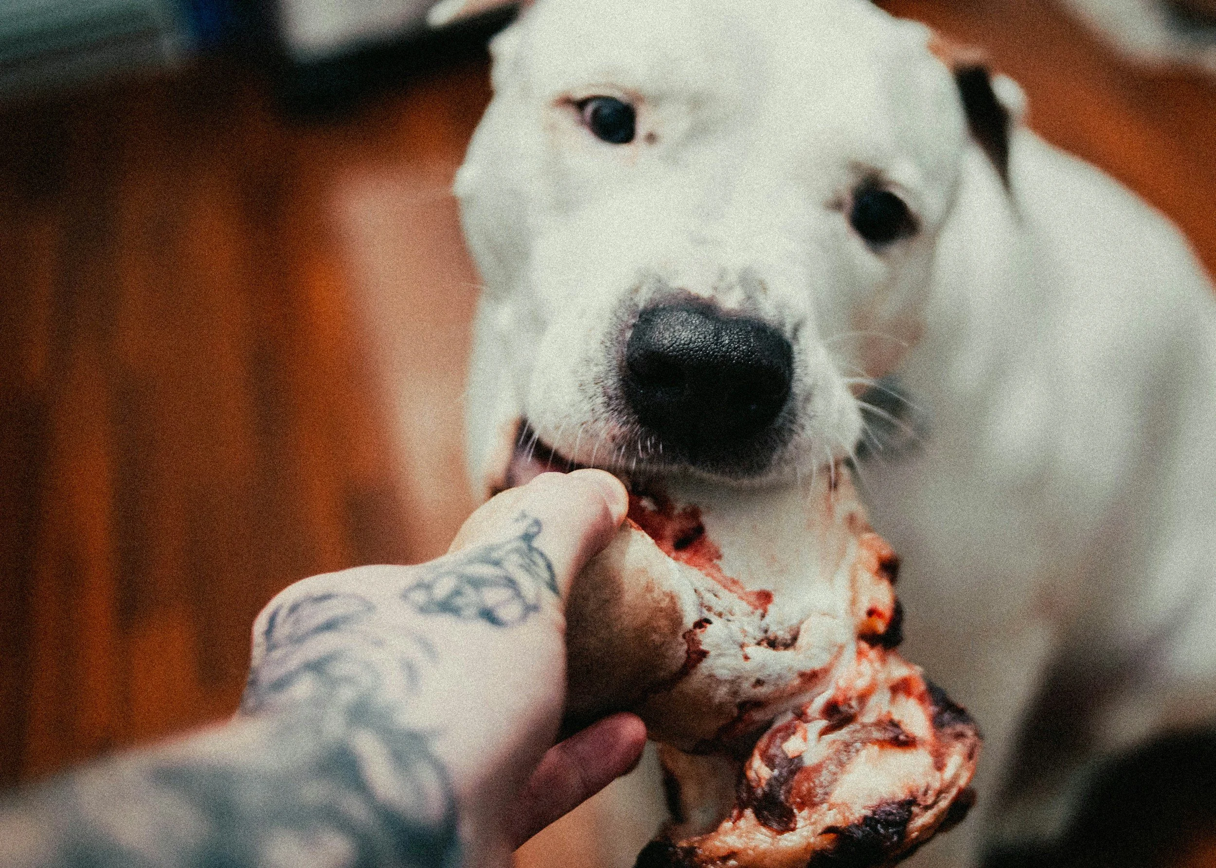 Close-up of a person holding and eating a slice of pizza with melted cheese and toppings.