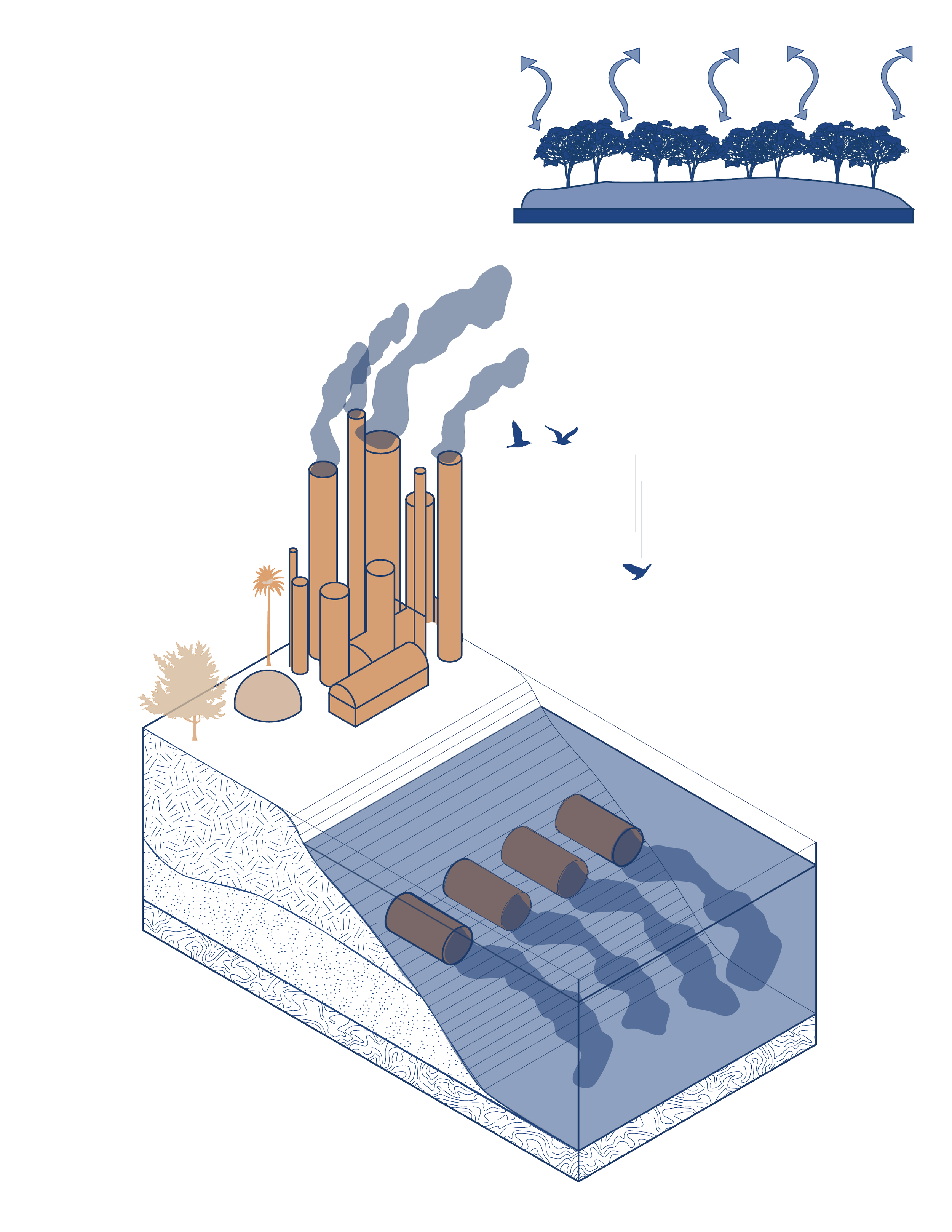 issues [Recovered]-02.png