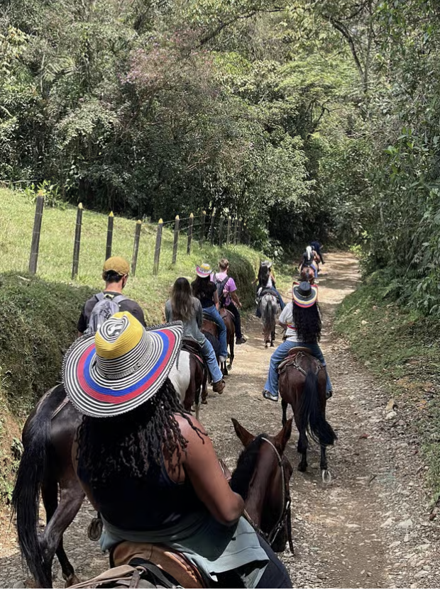 Mountain Horseback & Fonda