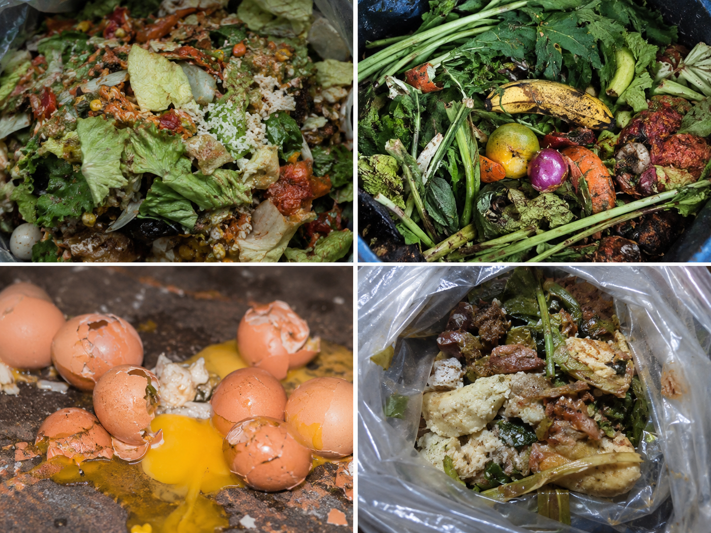 A collage of four images showing various stages of food preparation: chopped vegetables and rice, spoiled produce, cooked eggs, and leftover cooked food in plastic.
