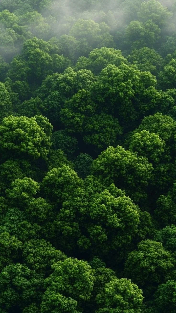 Turning Trash into Opportunity: How Big Brands Are Rethinking Waste