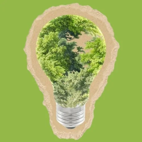 The Power of Our Purchases: Why Sustainable and Cruelty-Free Products Matter