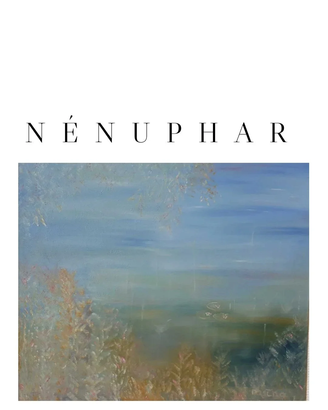 Huile sur canvas 60 x 70 cm encadré