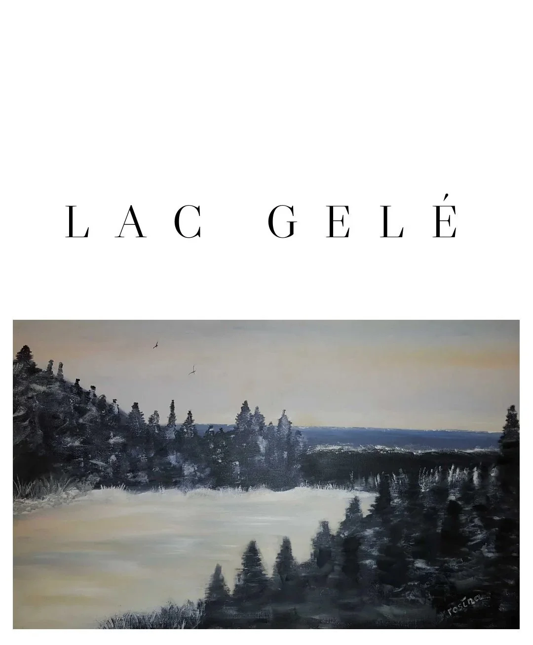 Huile sur canvas 100 x 62 cm encadré