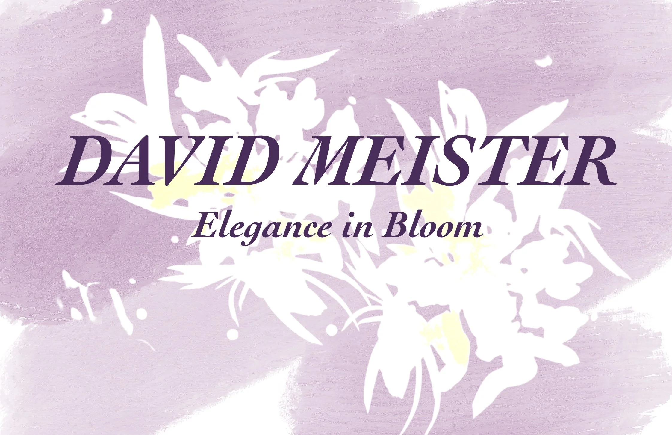 DAVID MEISTER