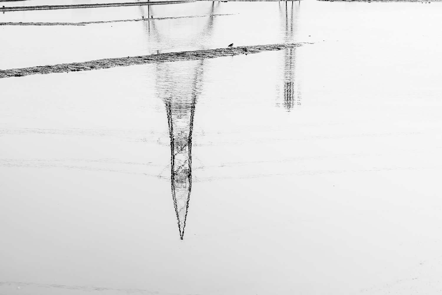 AIM02124.jpg