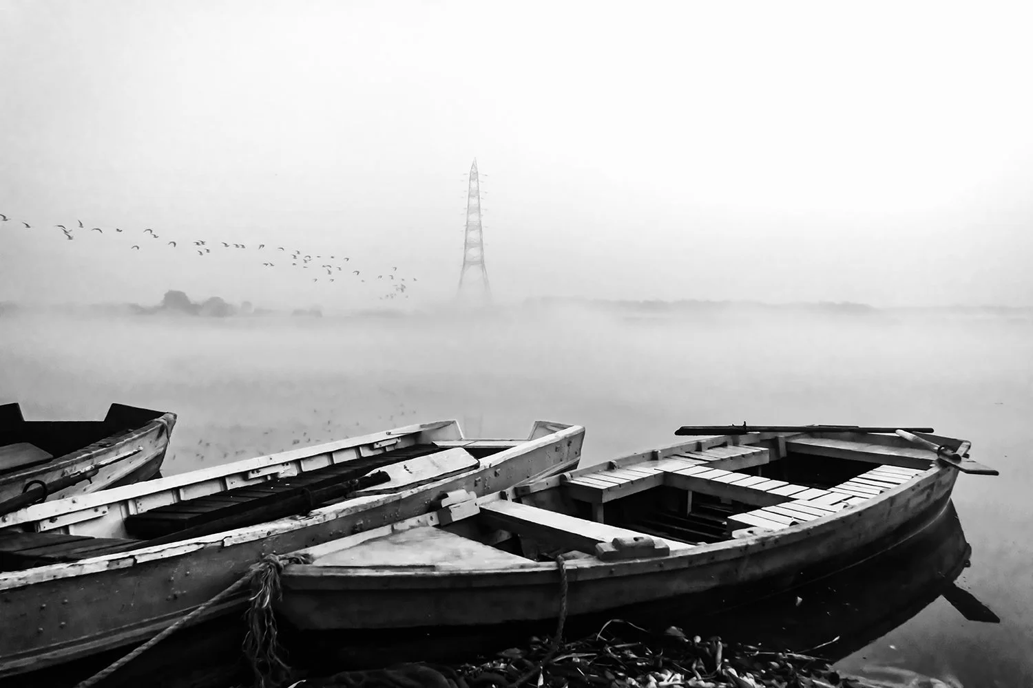 _DEL1311-2.jpg