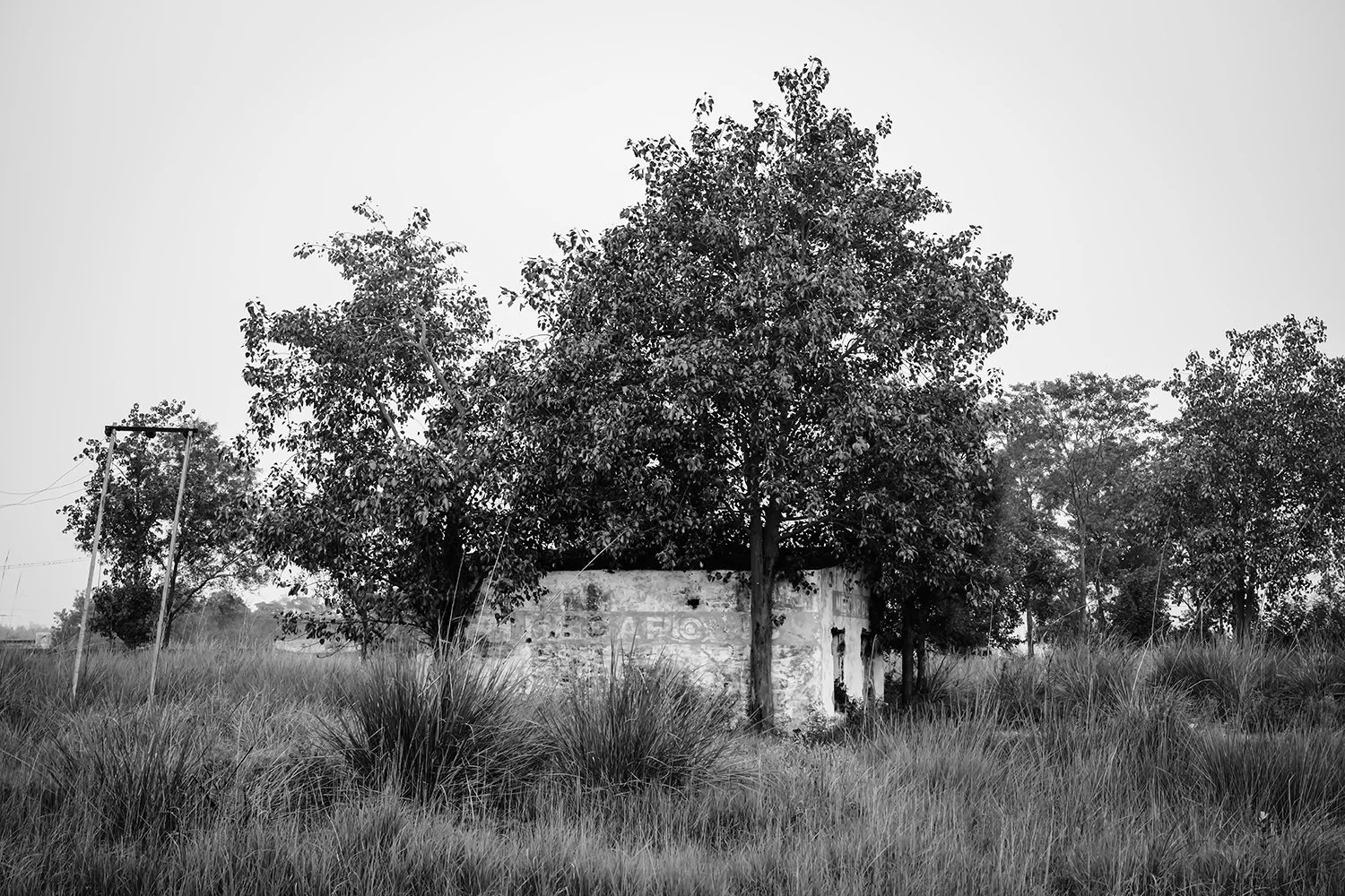 _DSF7951.jpg