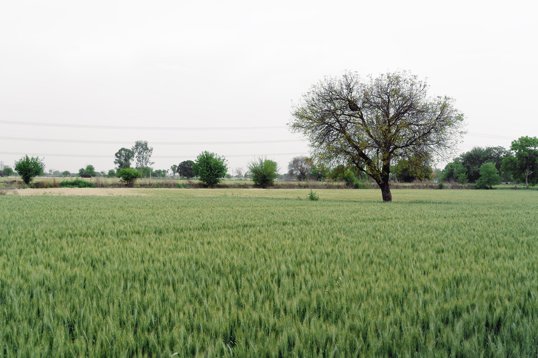 AIM00374.jpg