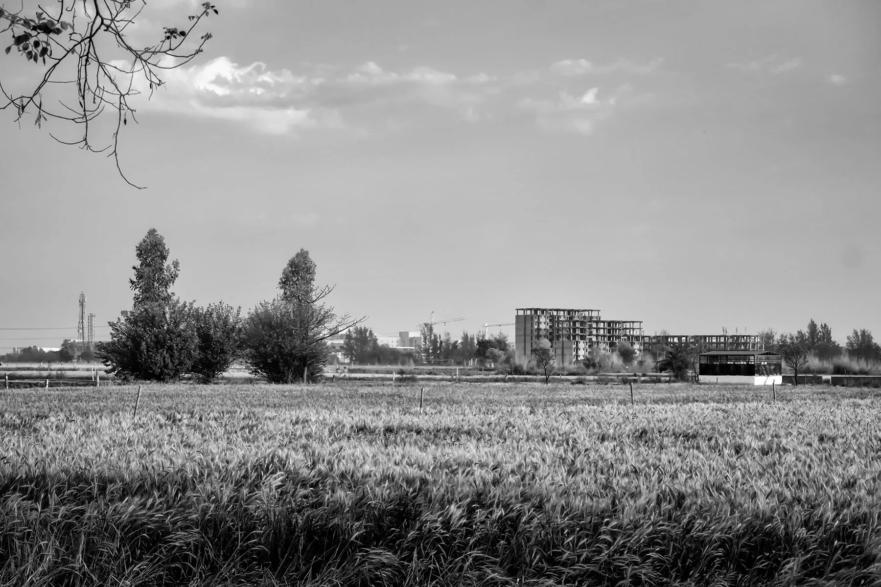 _GUR9325-2.jpg