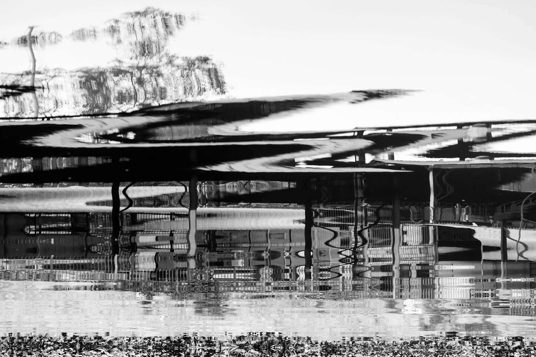 _DSF8815-3.jpg