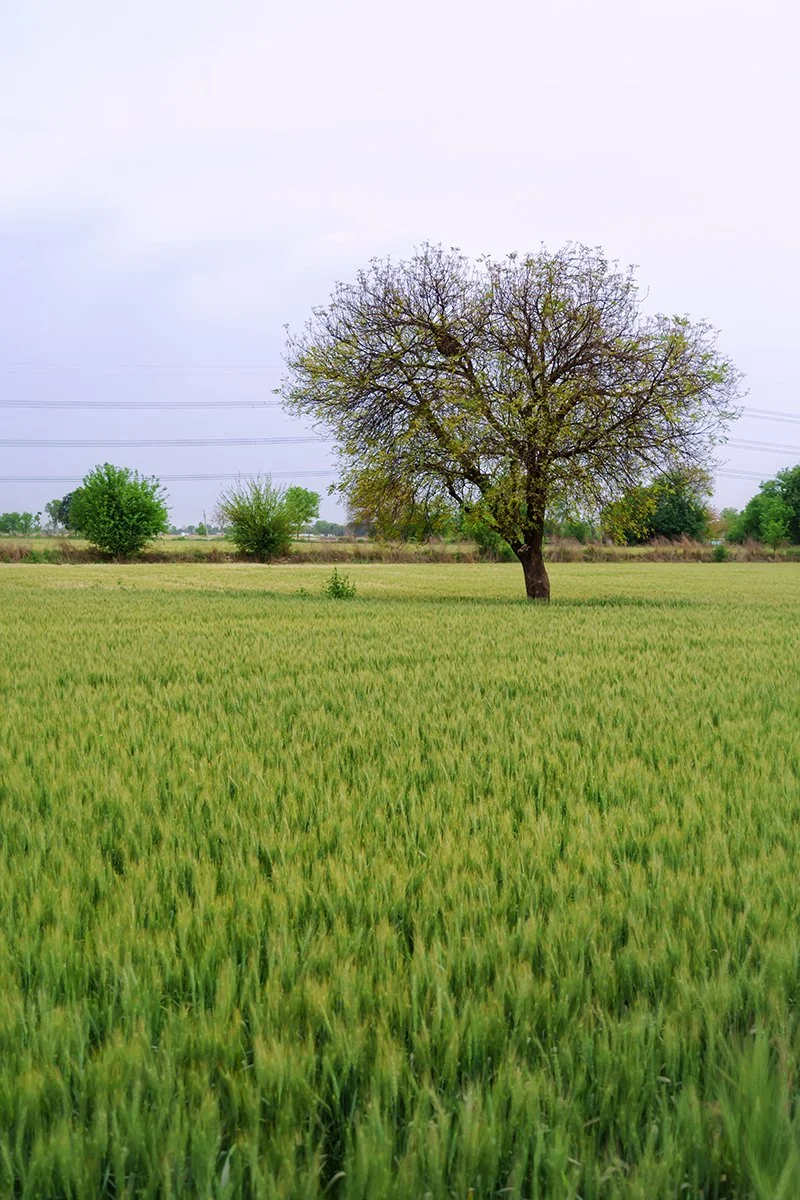 AIM00389.jpg