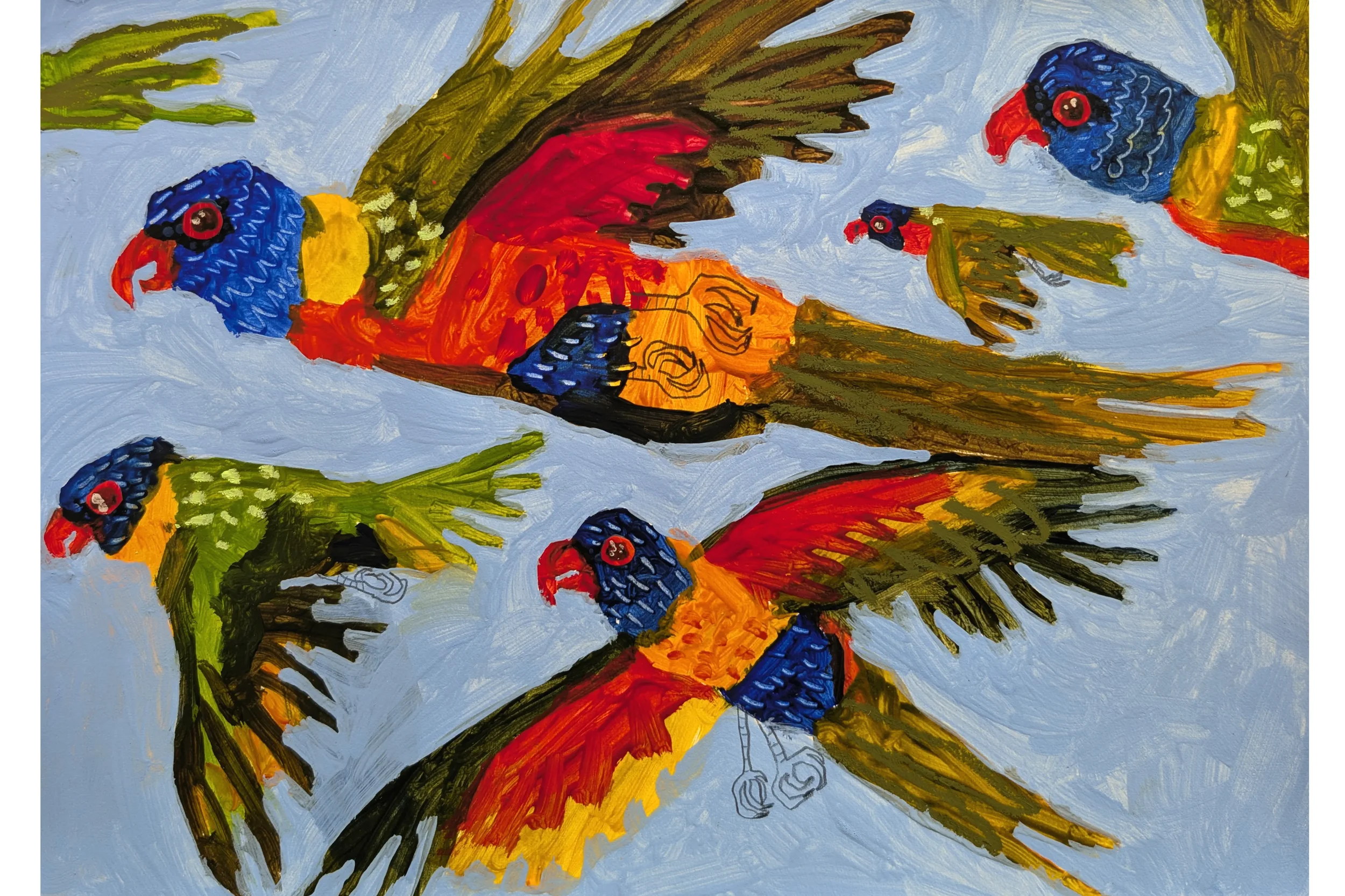 Rainbow Lorikeets Flying