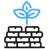 A blue plant sprouting above a black brick wall.
