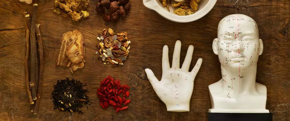 Various traditional Chinese medicine herbs and acupressure tools arranged on a wooden surface, including dried roots, flowers, and a meridian model of a human head and hand.