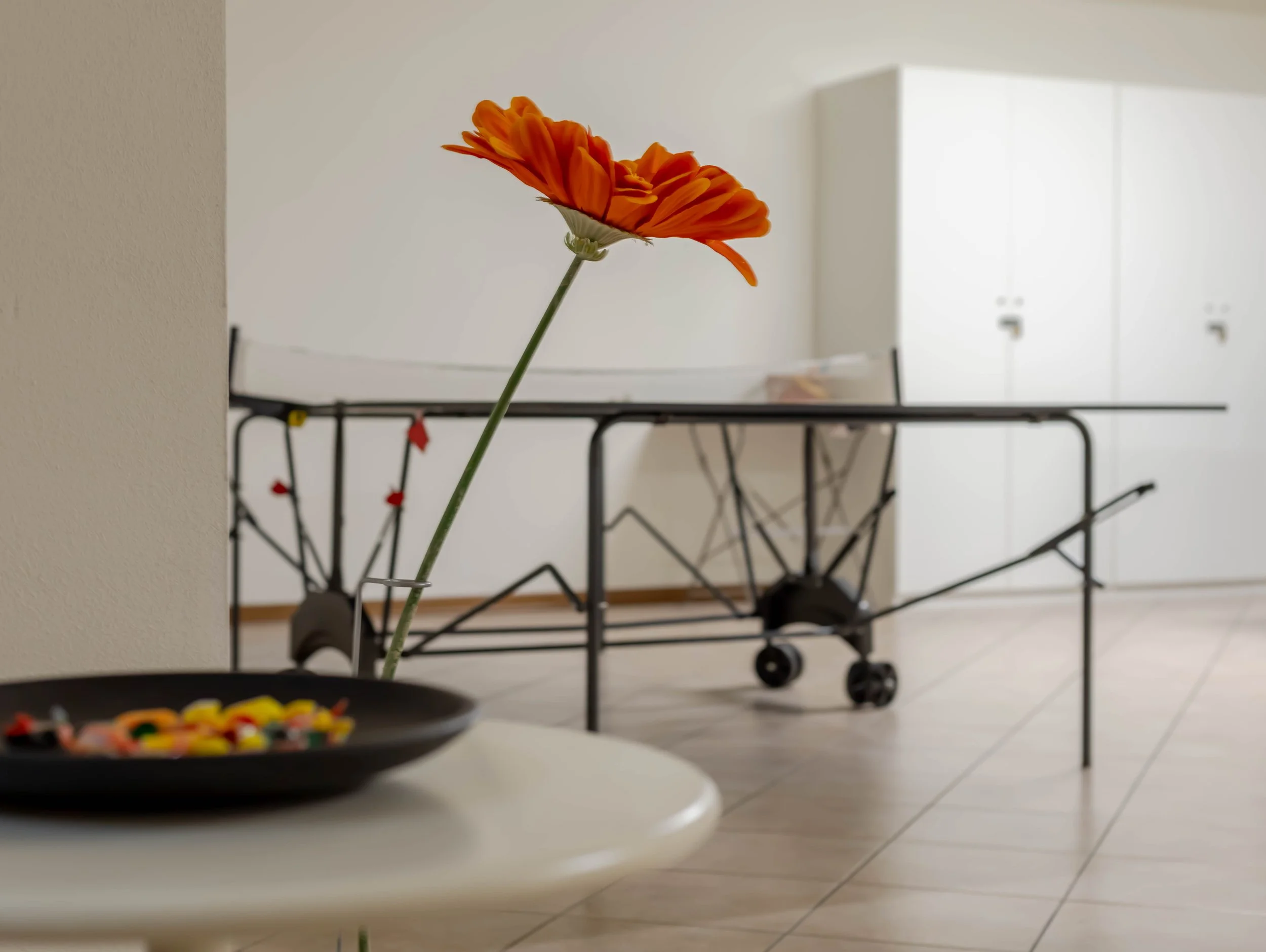 Un fiore arancione con petali ondulati in primo piano, sfondo di un ambiente domestico con armadi bianchi e un carrello per la spesa.