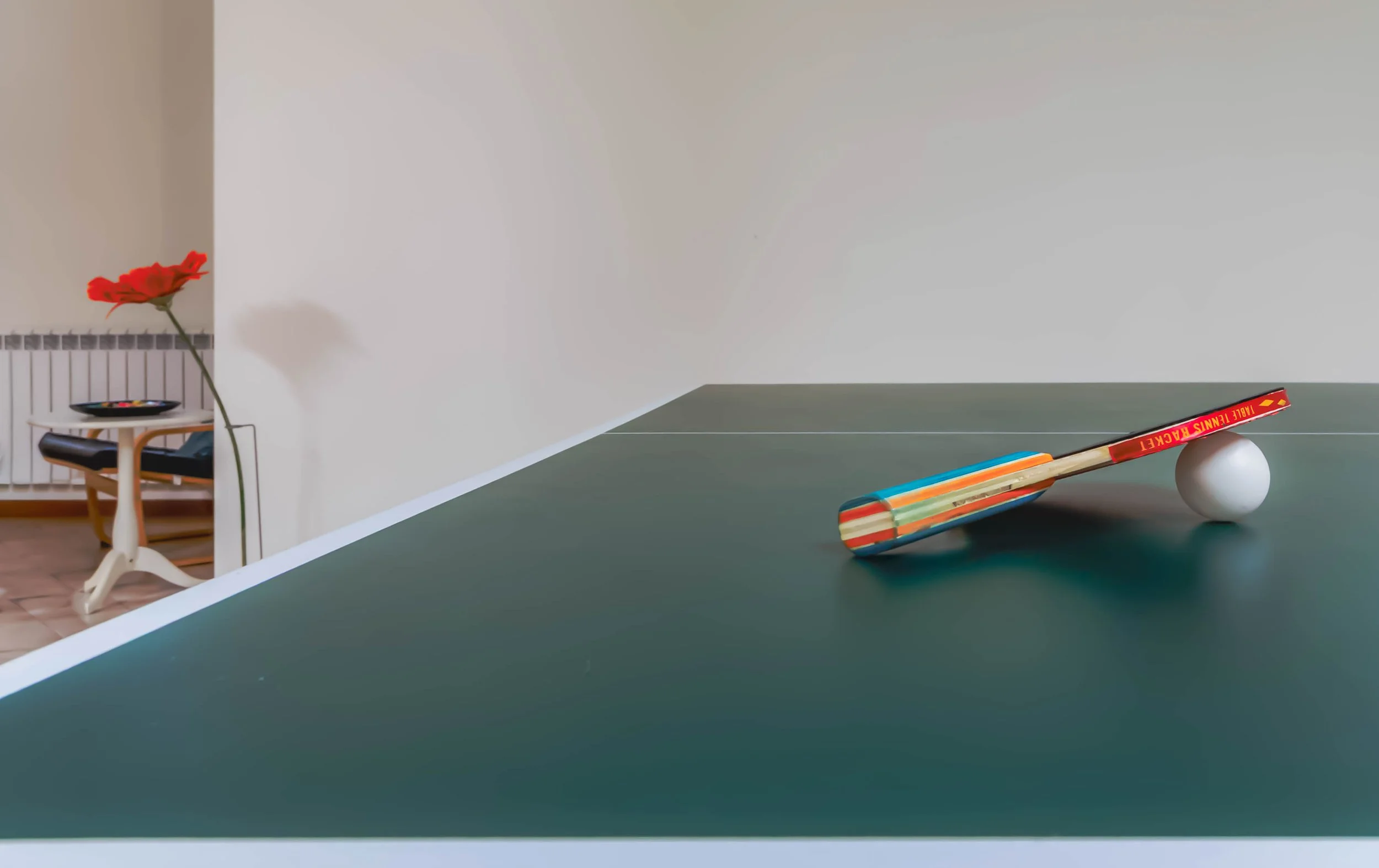 Un tavolo da ping pong con una racchetta colorata e una pallina bianca appoggiata davanti. Sul tavolo è poggiata una racchetta con la manico colorato con strisce di colori e il piattino con il nome "Table Tennis Rack". Sul tavolo si trova anche un pa