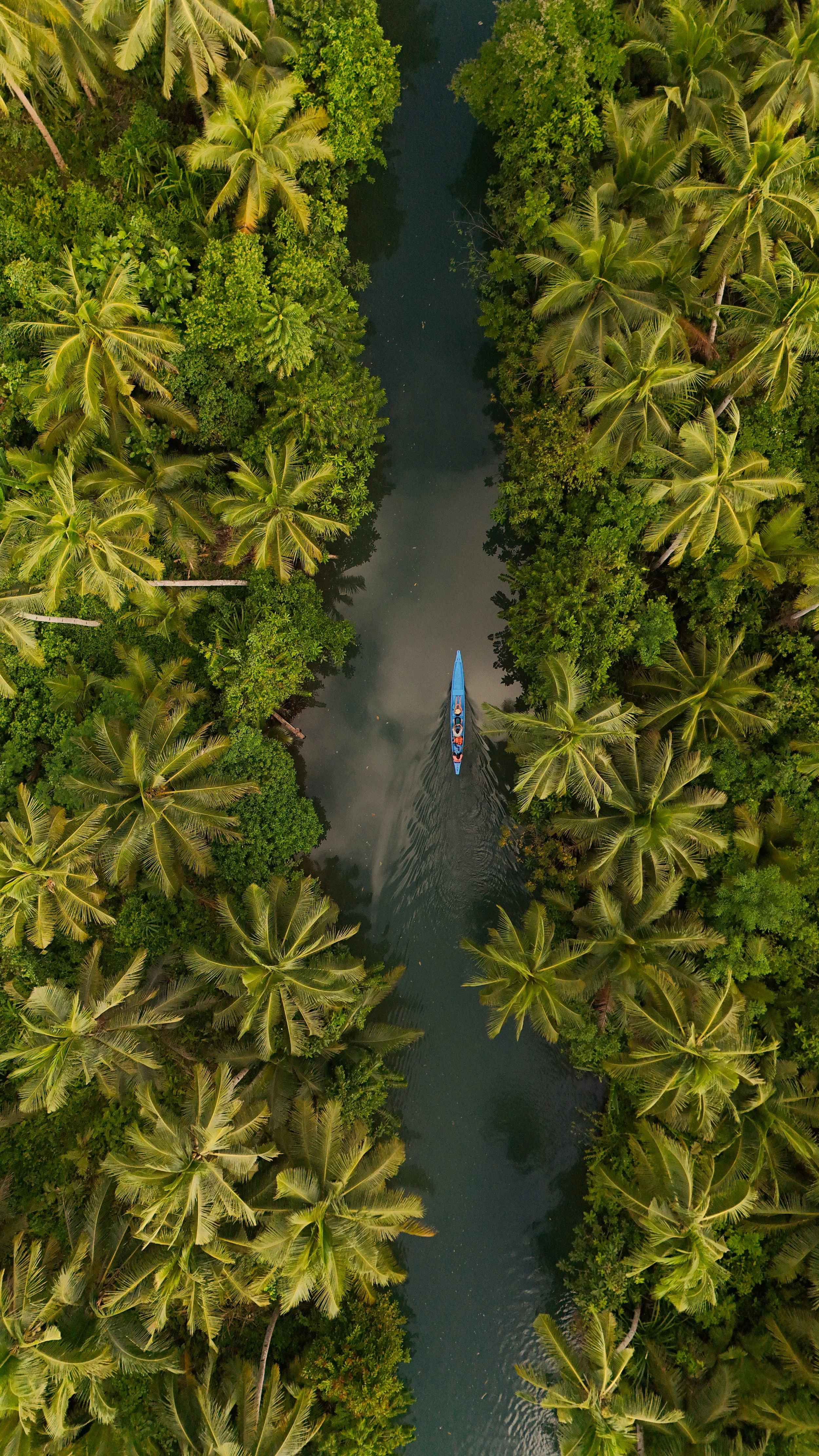 dji_fly_20260330_081508_0012_1774834115392_photo.JPG