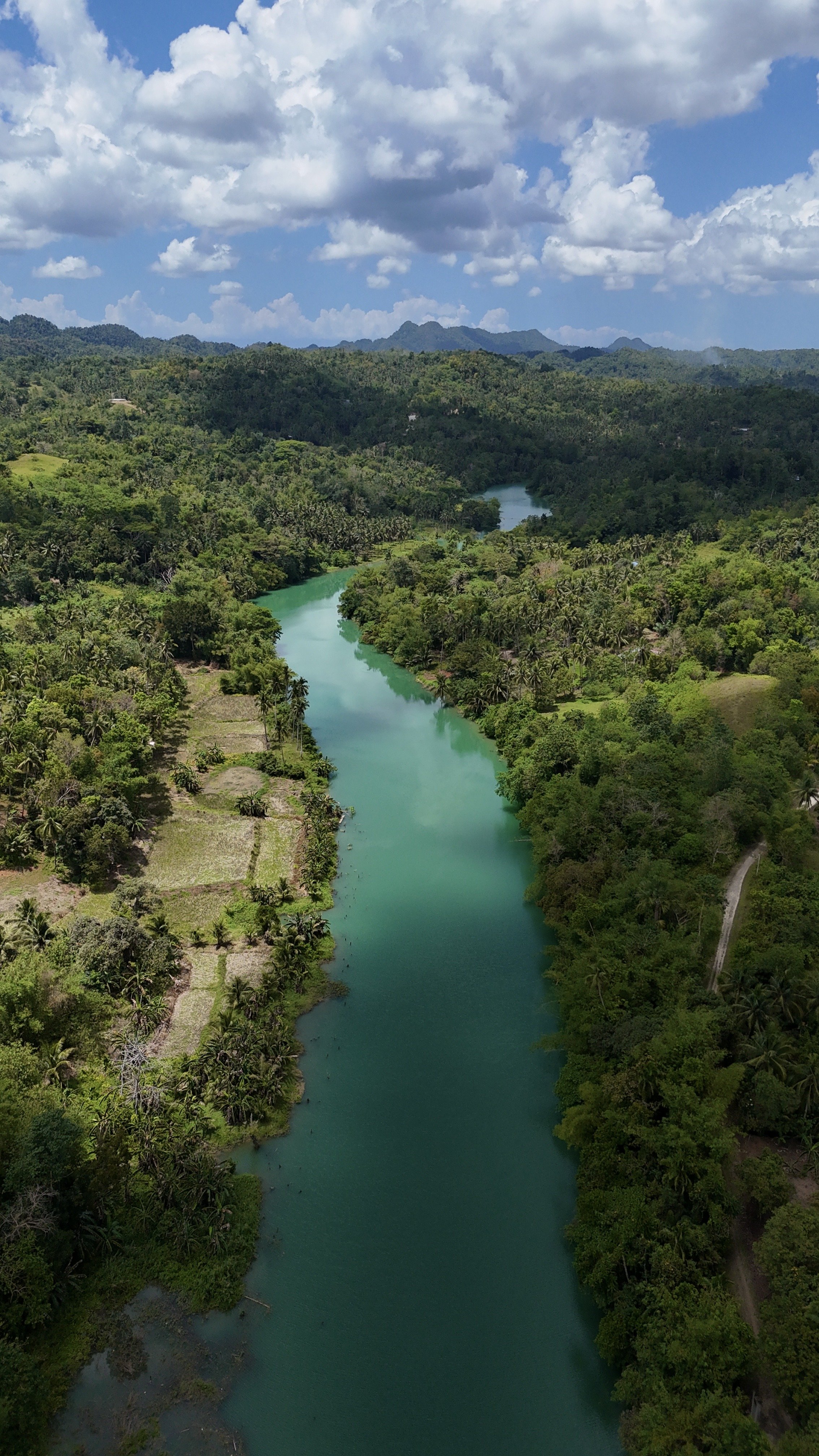 Paysage de rivière verte serpentant à travers une forêt dense avec des montagnes en arrière-plan et un ciel partiellement nuageux.