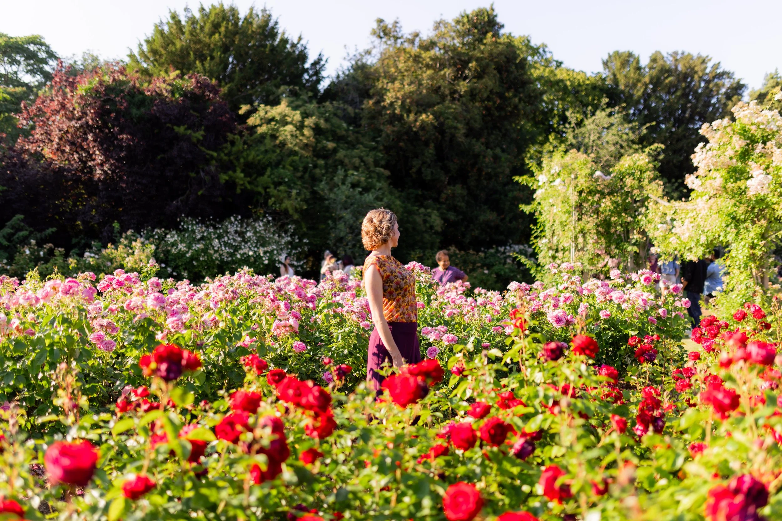 Woman in a floral top walking through a colorful flower garden with pink, red, and yellow blooms, and tall trees in the background on a sunny day.