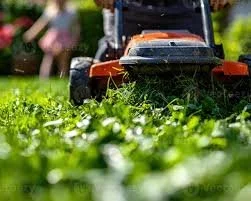 Lawn Maintenance