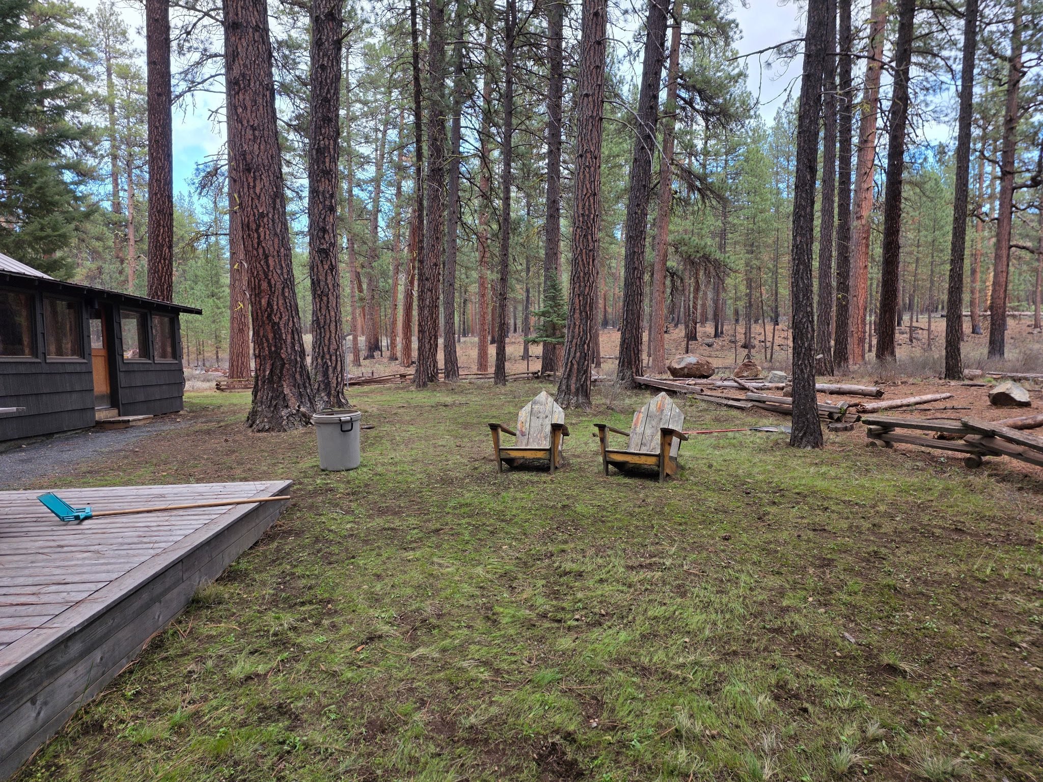 Seasonal Clean Ups
