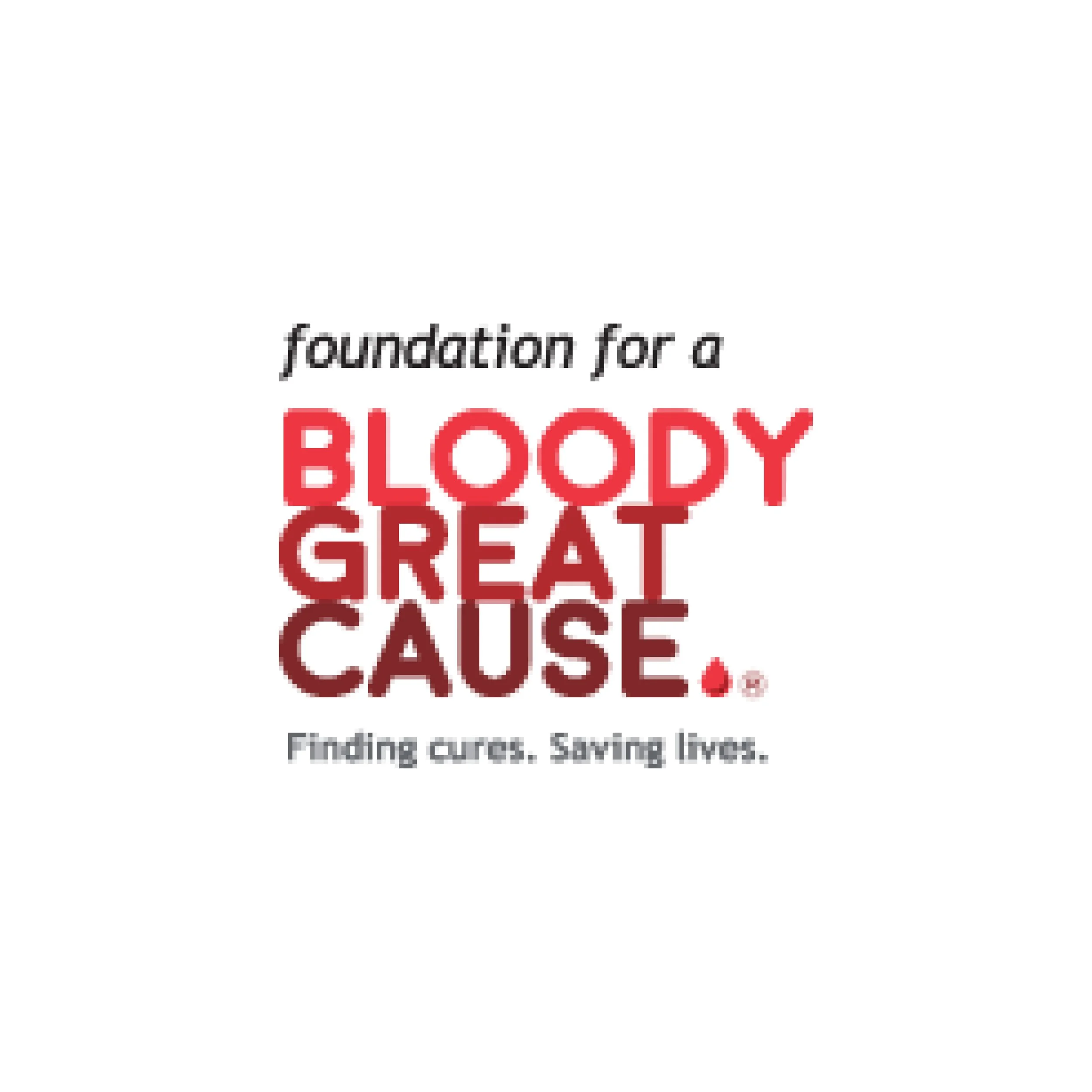 Text reading 'foundation for a bloody great cause' with a blurred background.