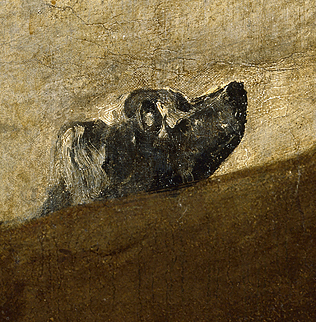 The Dog