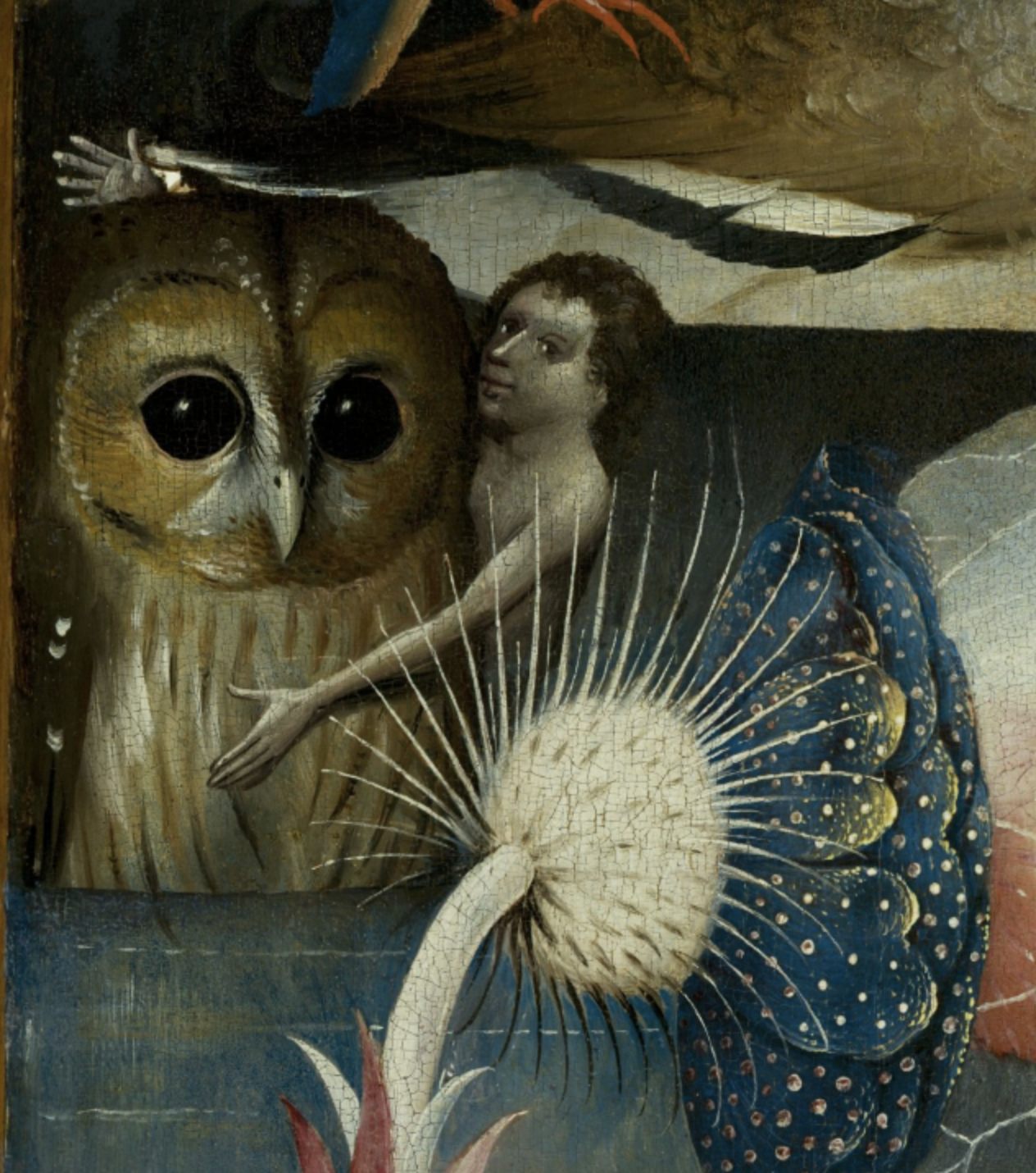 Bosch and Owls