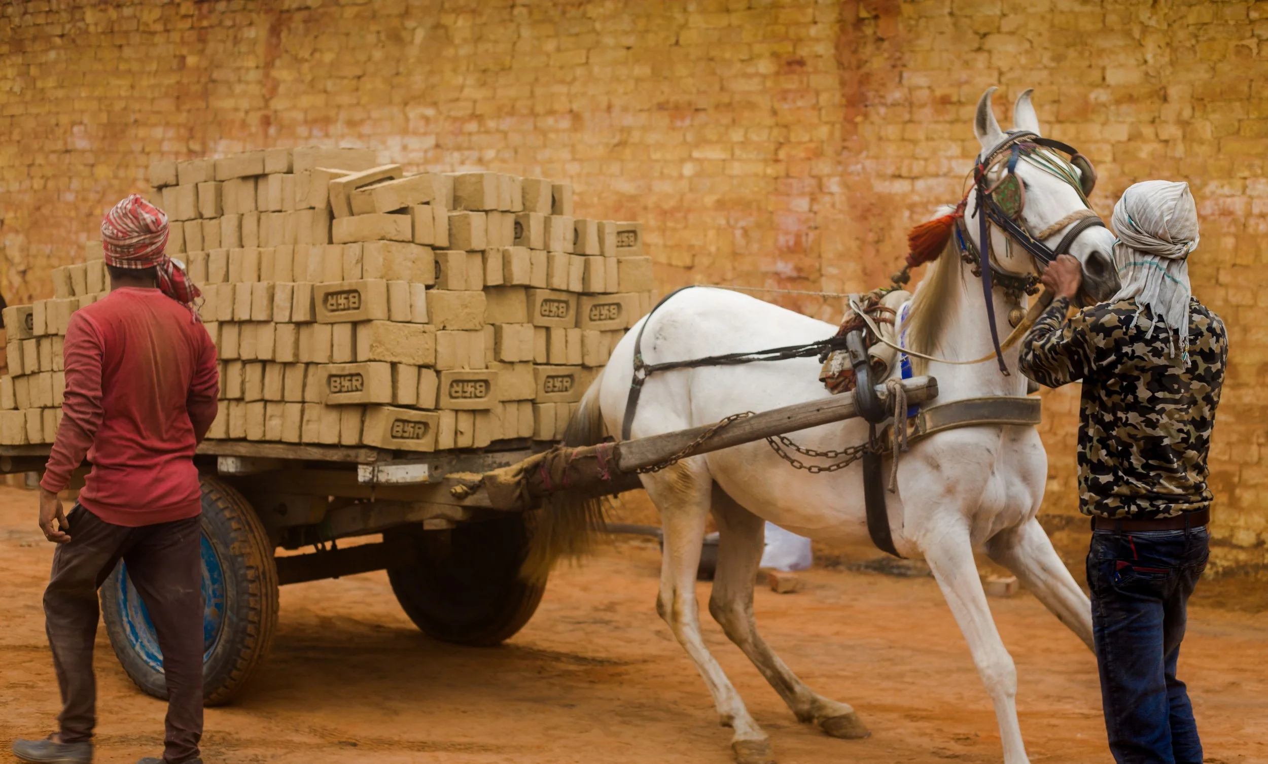 Two men wearing traditional head coverings assisting a white horse to pull a wooden cart loaded with bricks against a brick wall background.