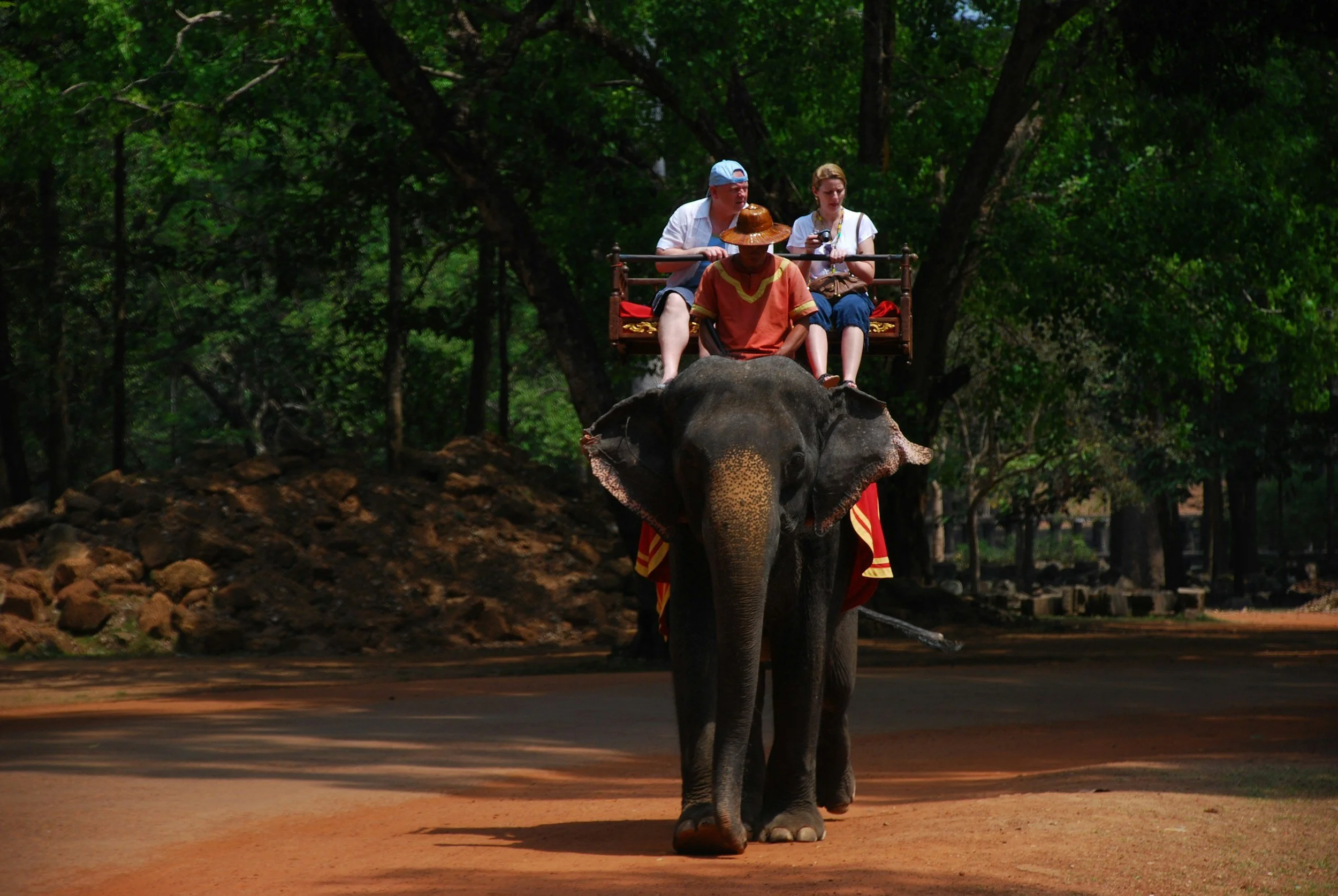 An elephant carrying a tourist carriage with three people riding on it through a forested area.