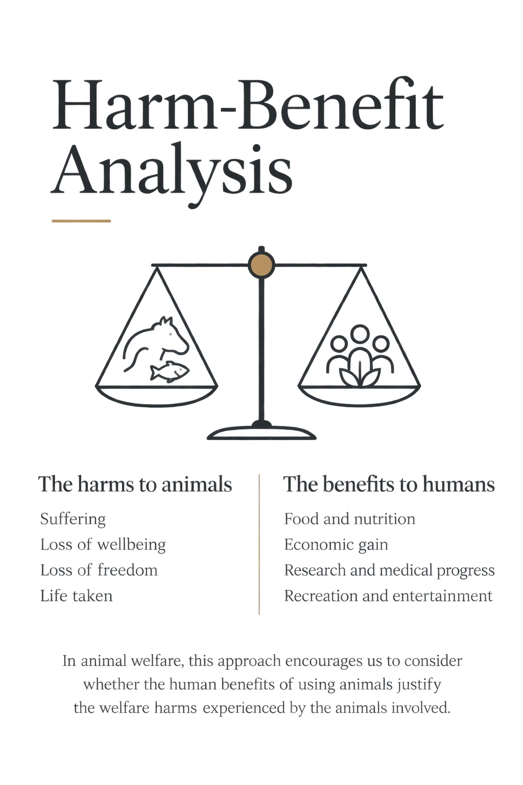 Infographic comparing animal welfare and rights, showing balance scales, symbols representing animals, and text about animal welfare issues and considerations.