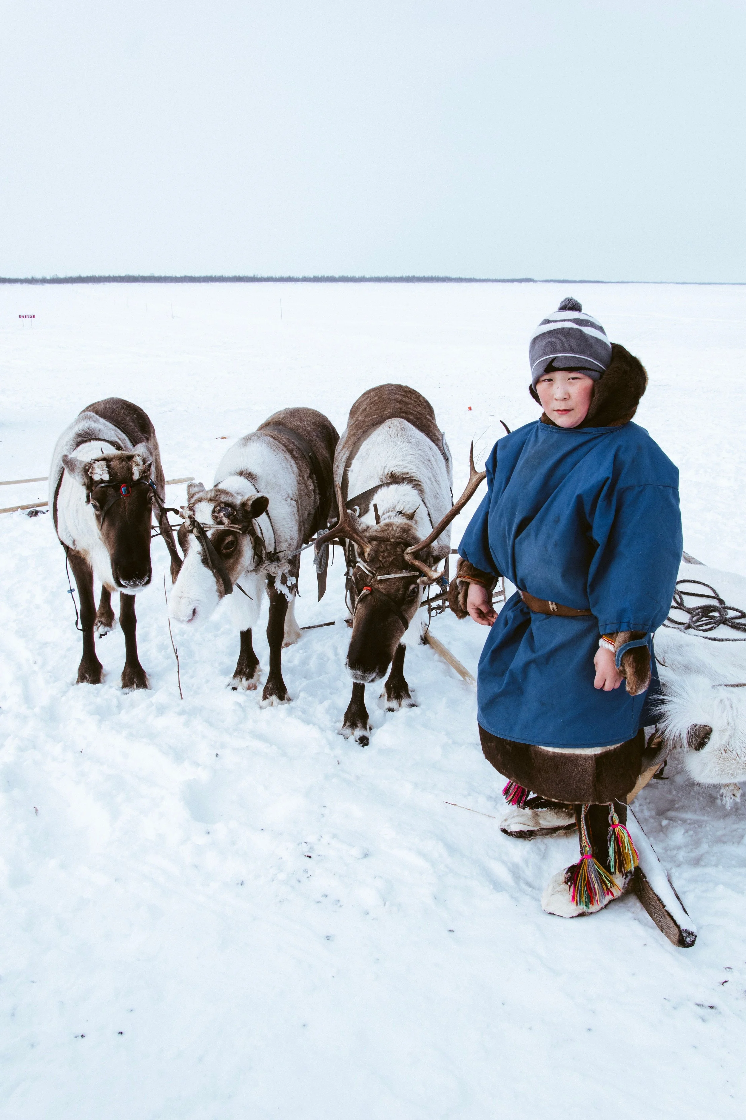 A boy in a winter coat and hat standing in snow, holding the reins of a dog sled with four huskies attached in a snowy landscape.
