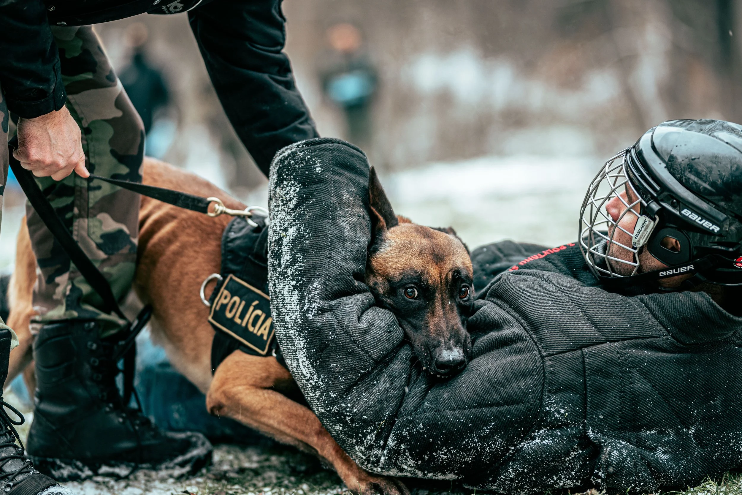 A police officer in camouflage pants and black jacket helping a person in a hockey helmet and black jacket, who is lying on the ground with a brown dog. The dog is being examined or treated. The scene appears to be outdoors with snow and blurred background.