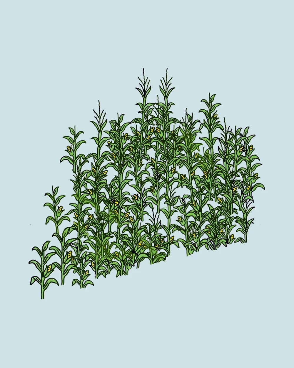 The Maize Maze #map-the-maze
