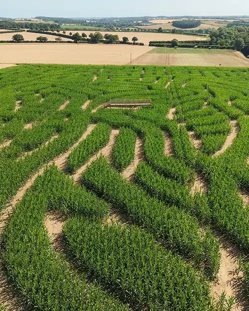 The Barsham Maize Maze seen from the air with views over the rolling countryside beyond