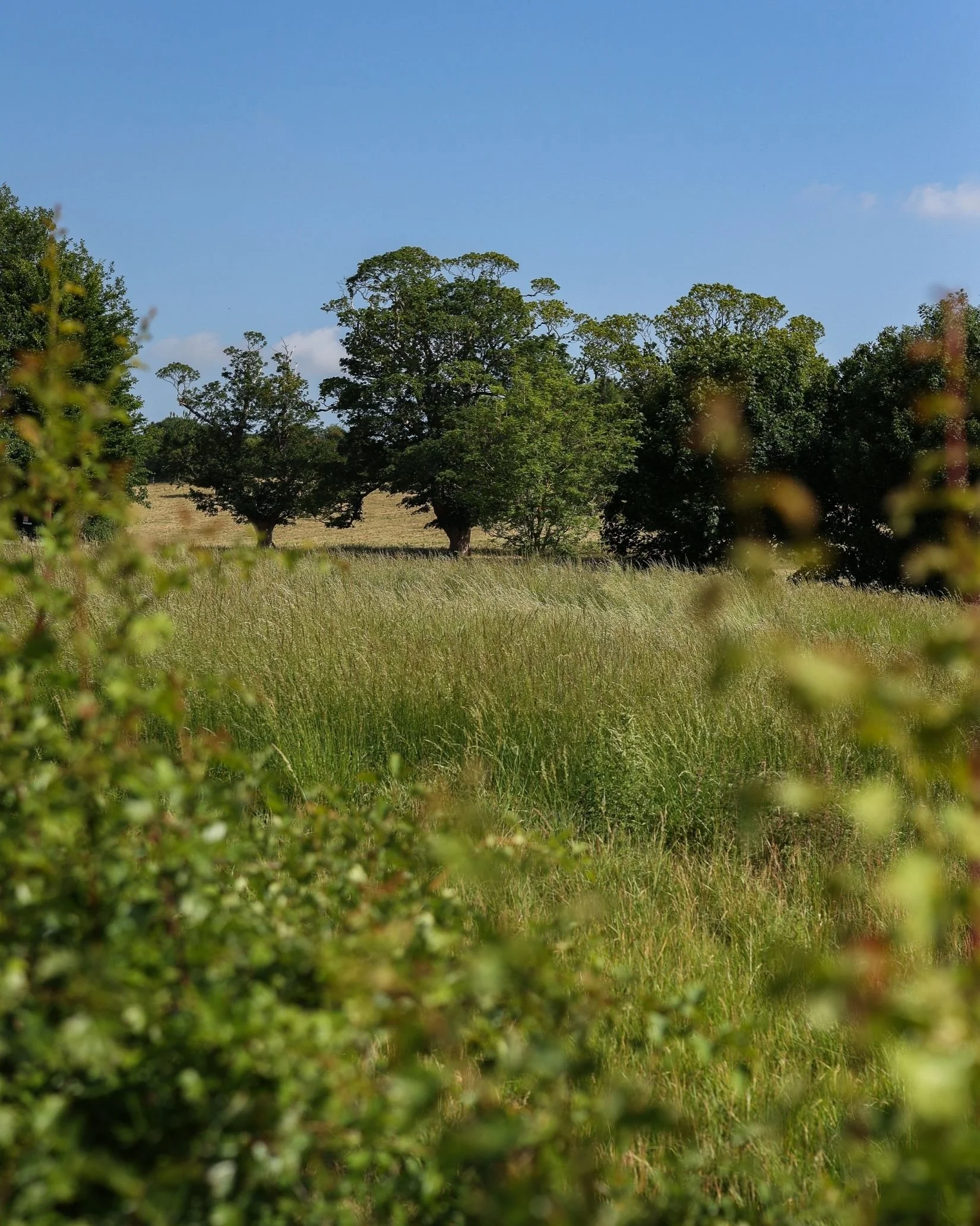 Farming and conversation on the West Barsham Estate